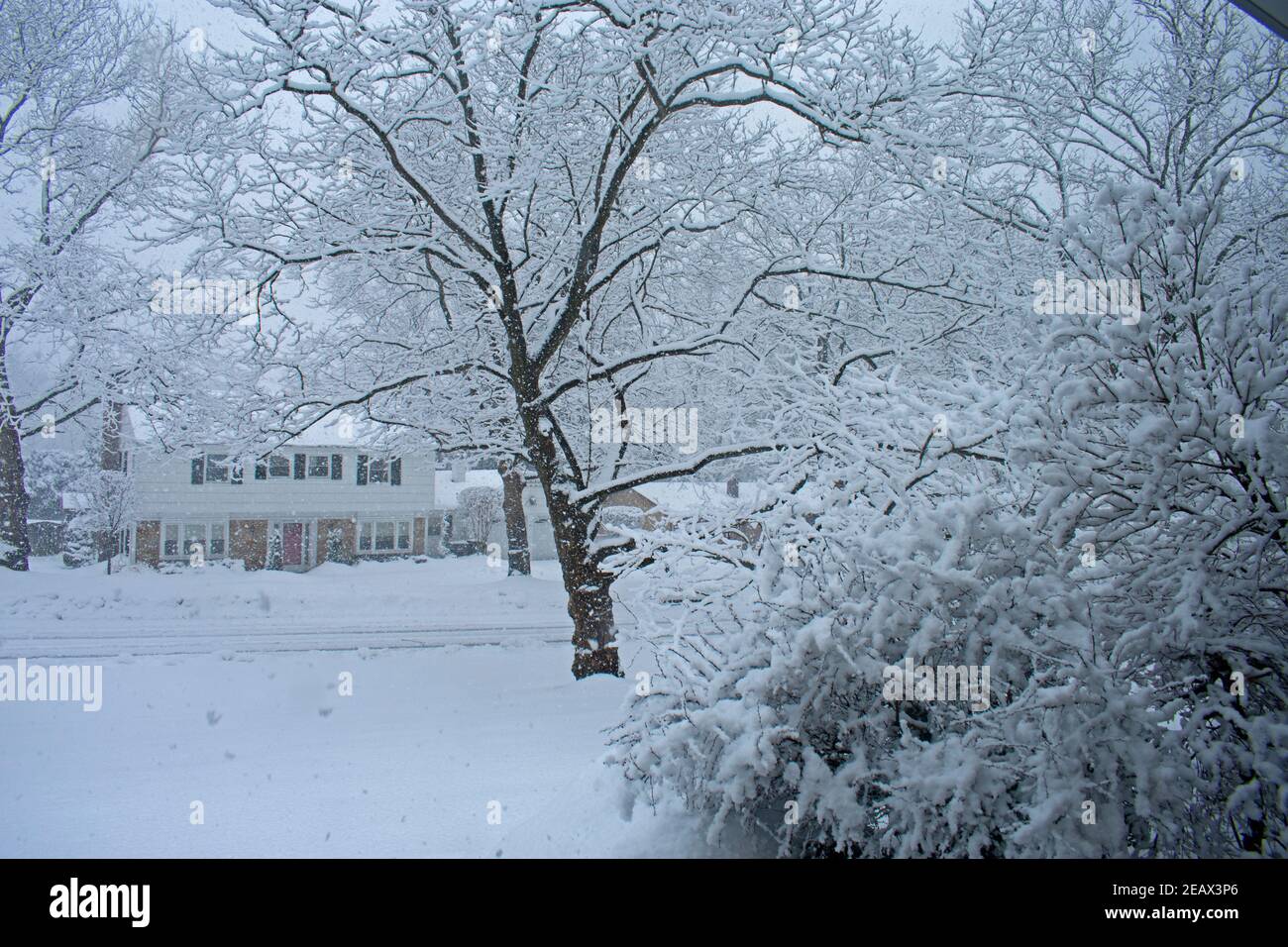 Falling snow of a mid-winter storm covers a suburban neighborhood in the town of Old Bridge, New Jersey, USA -08 Stock Photo