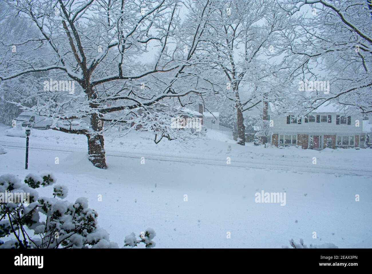 Falling snow of a mid-winter storm covers a suburban neighborhood in the town of Old Bridge, New Jersey, USA -09 Stock Photo