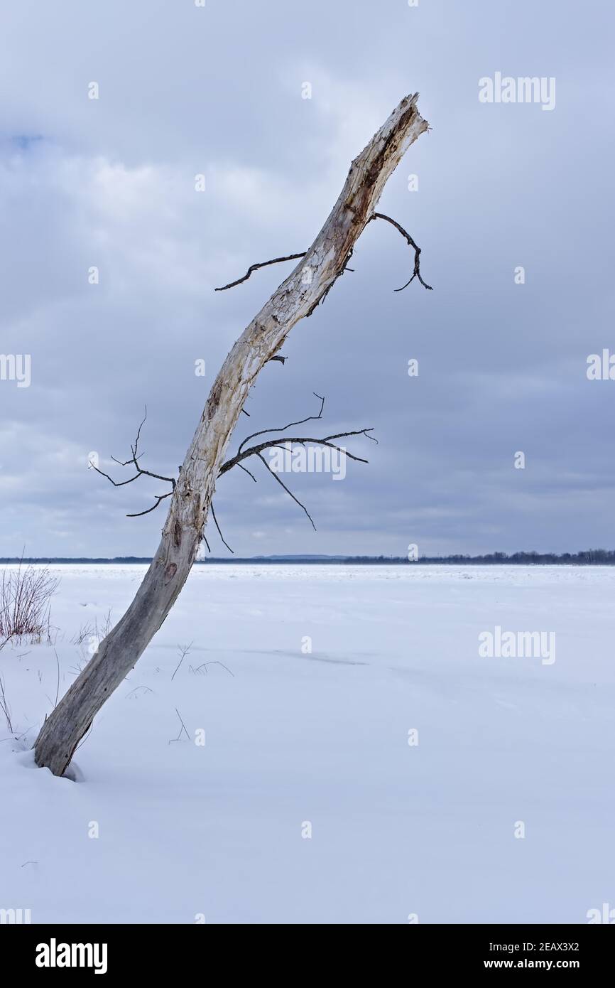 Starkly beautiful frozen Canadian winter landscape by the Ottawa River at Petrie Island, Ottawa, Ontario, Canada. Stock Photo