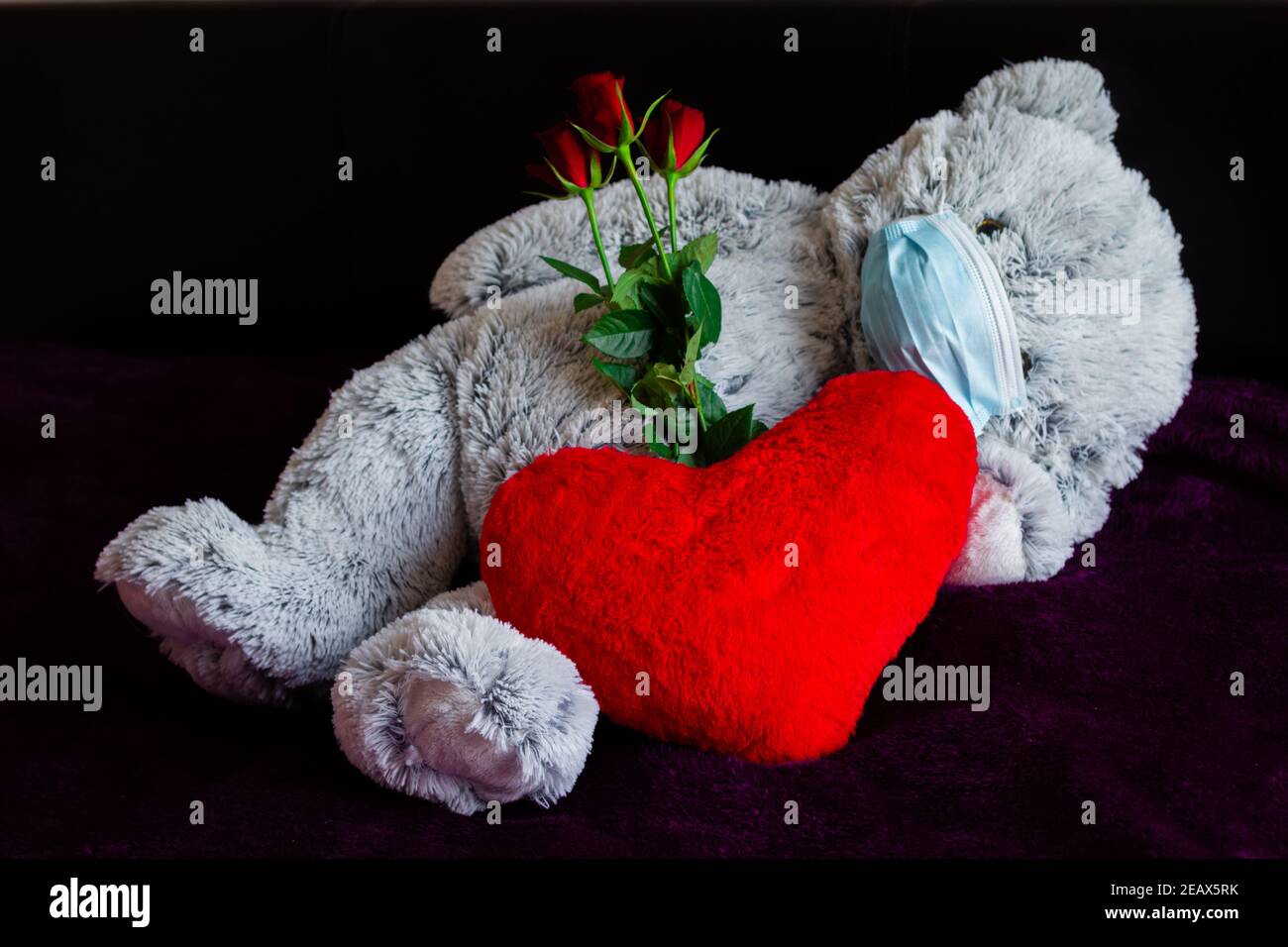 celebrite day love in febuary in pandemic time Stock Photo