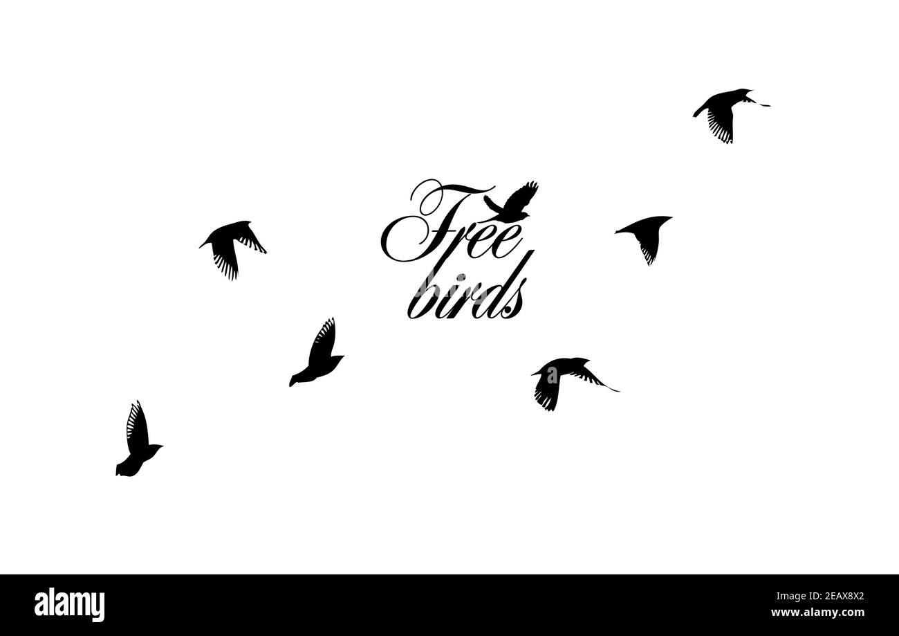 A flock of flying birds. Vector illustration Stock Vector