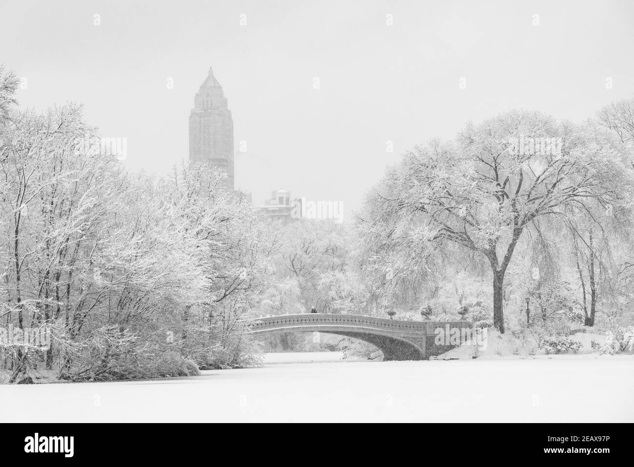 New York City Central Park during a snowstorm Stock Photo