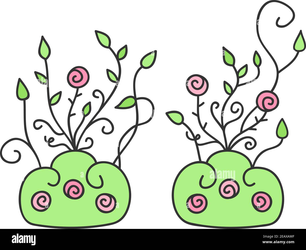 Wild rose flower bushes vector illustration. Climbing rose flower