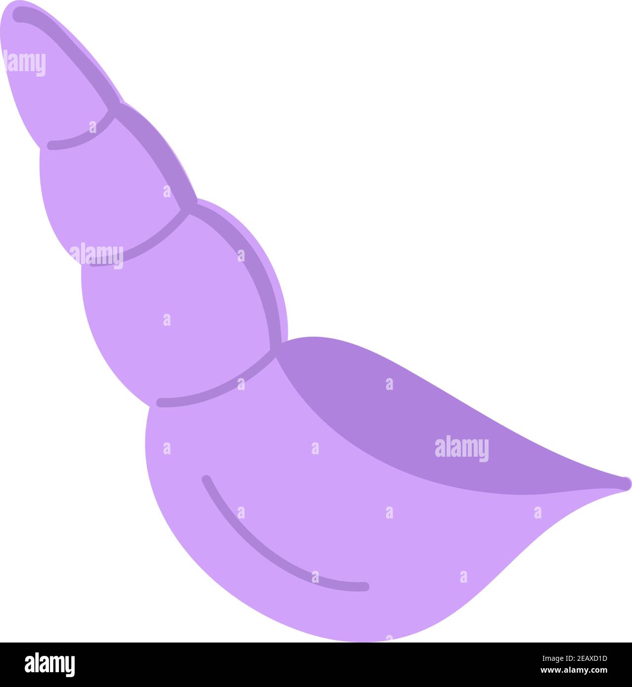 Seashell Cartoon Purple