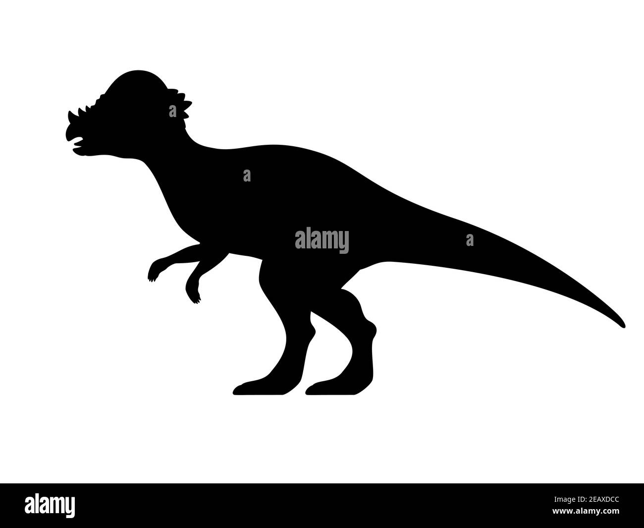 Pachycephalosaurus silhouette. Vector illustration black silhouette pachycephalosaurus dinosaur isolated on white background. Dinosaur logo icon, side Stock Vector