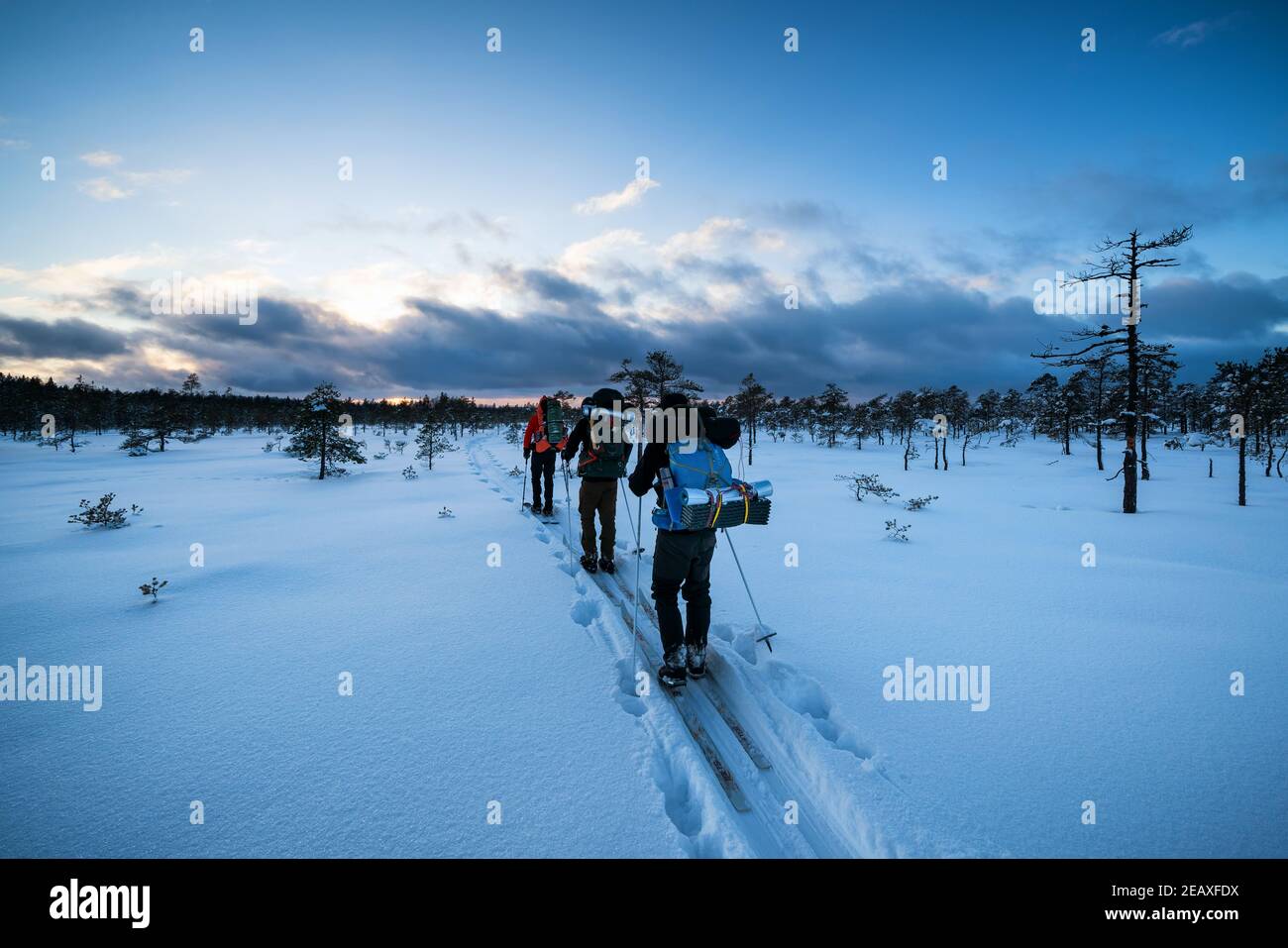 Ski touring in Torronsuo National Park, Tammela, Finland Stock Photo