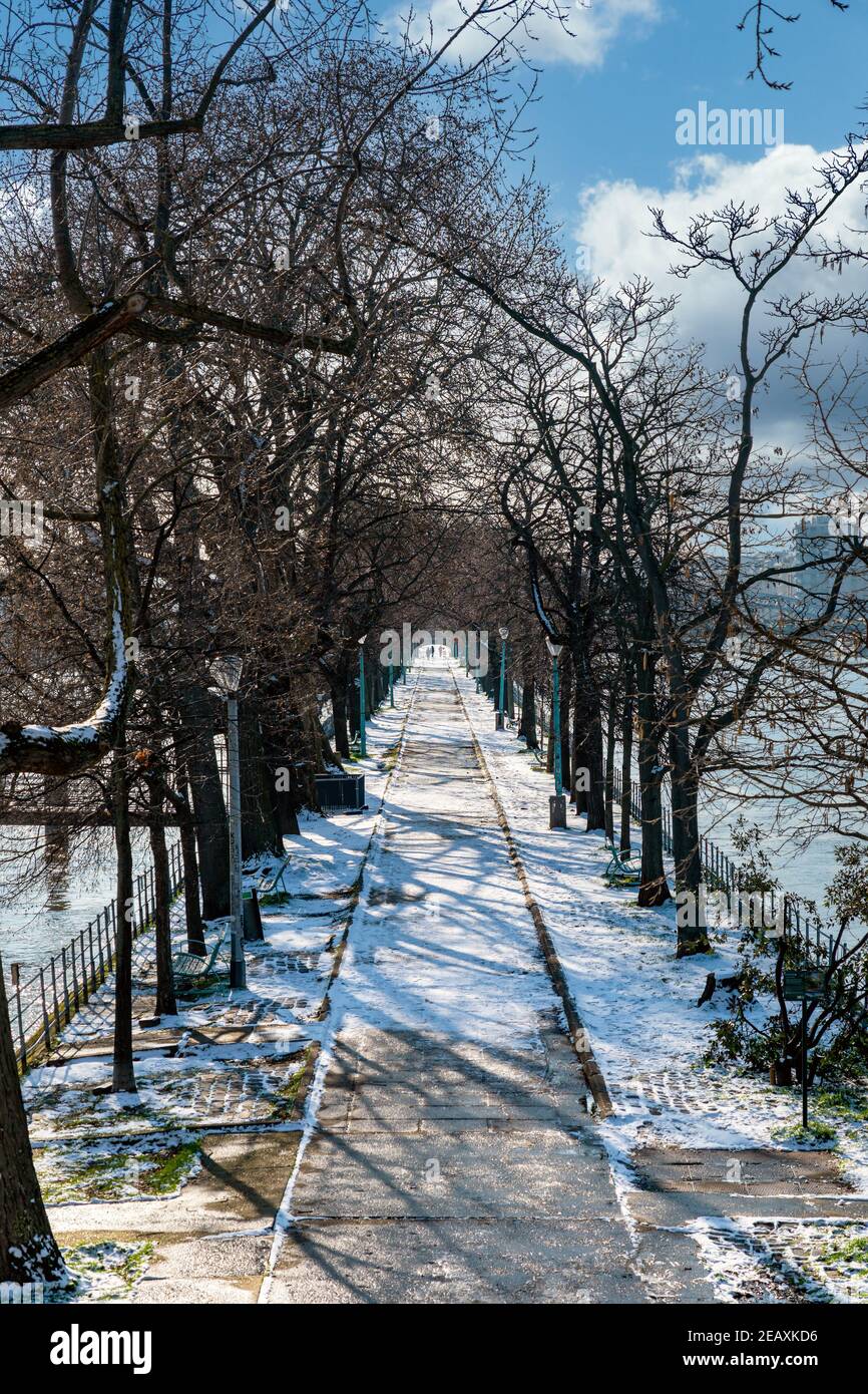 Ile Aux Cygnes On The River Seine After A Snowfall Paris France Stock Photo Alamy