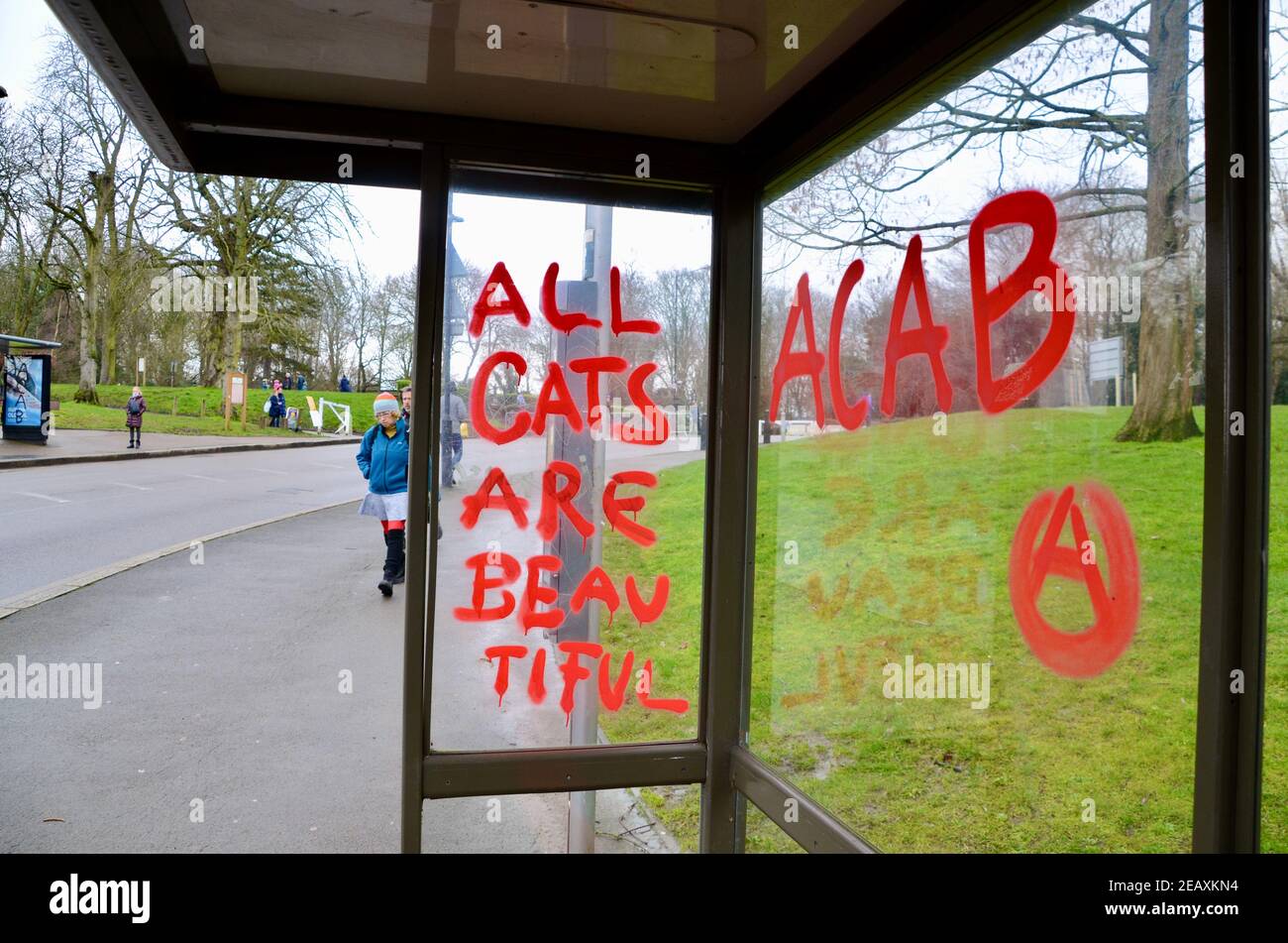 all cats are beautiful ACAB sprayed in red paint on to bus stop in london england uk Stock Photo