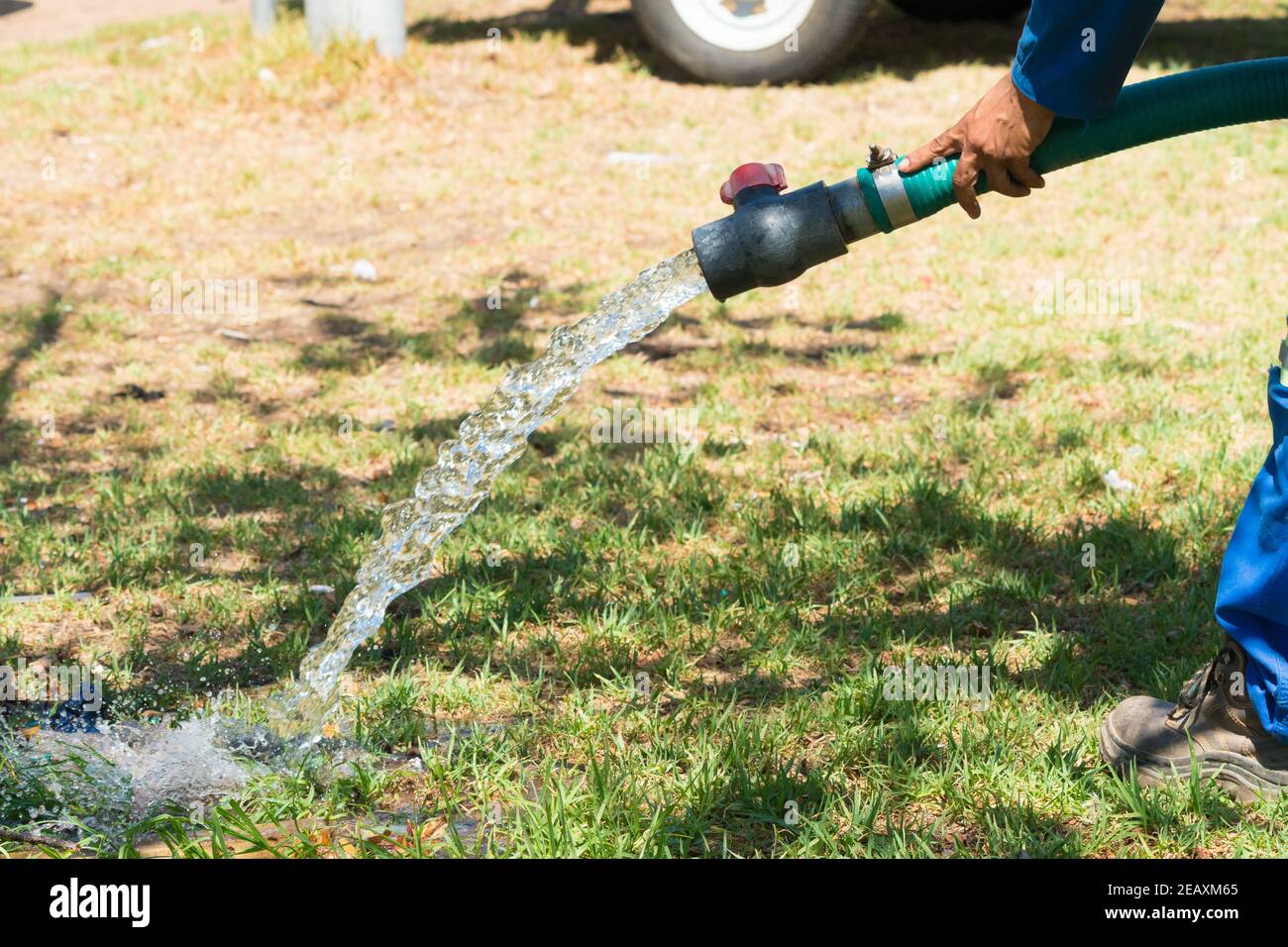 man's hand holding a large hosepipe with water running out of it while watering by hand during water restrictions and drought in South Africa Stock Photo