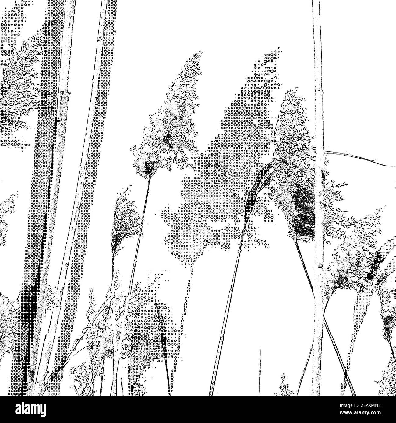 Layered flower border Black and White Stock Photos & Images - Alamy