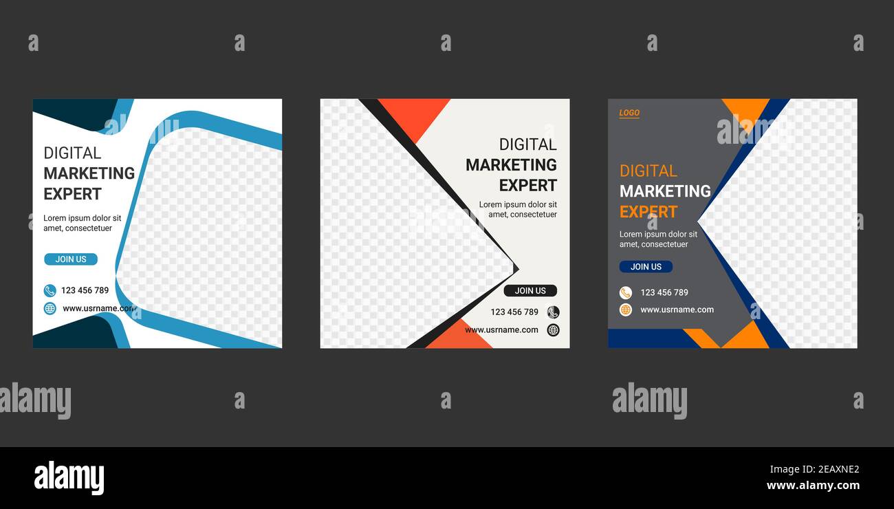 Digital marketing presentation Stock Vector Images - Alamy