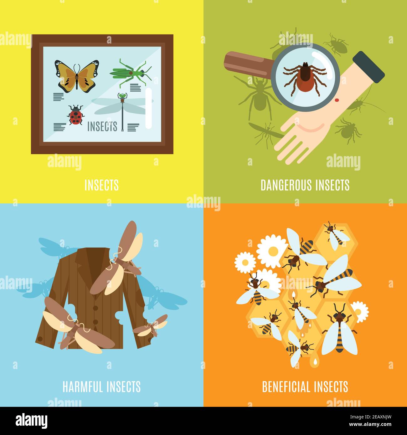 Insects design concept set with dangerous harmful and beneficial