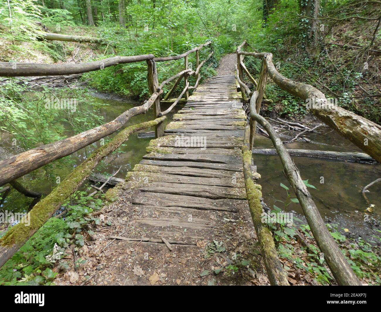 Wooden bridge in Bienwald Stock Photo