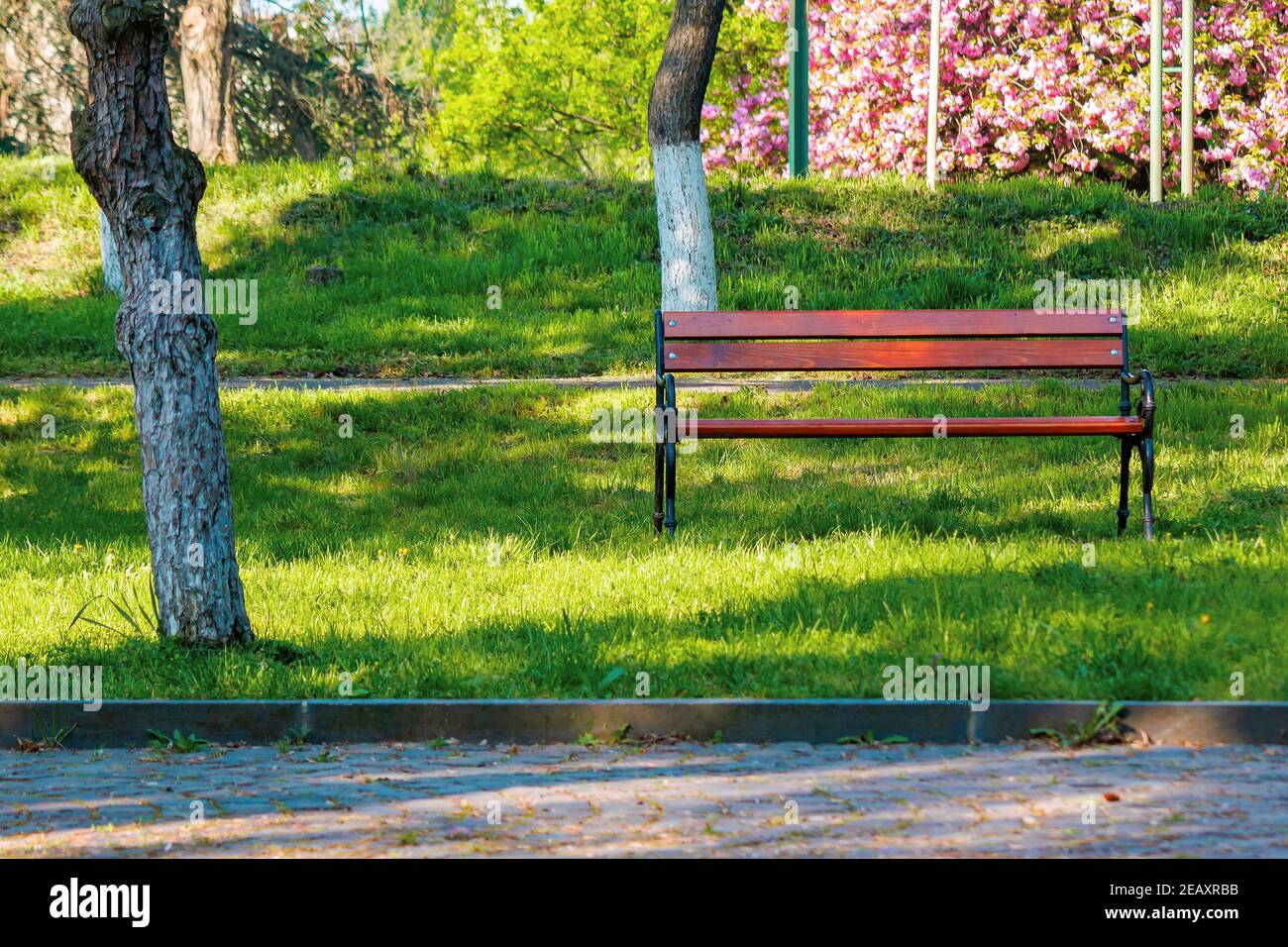 Empty park bench trees day hi-res stock photography and images - Alamy