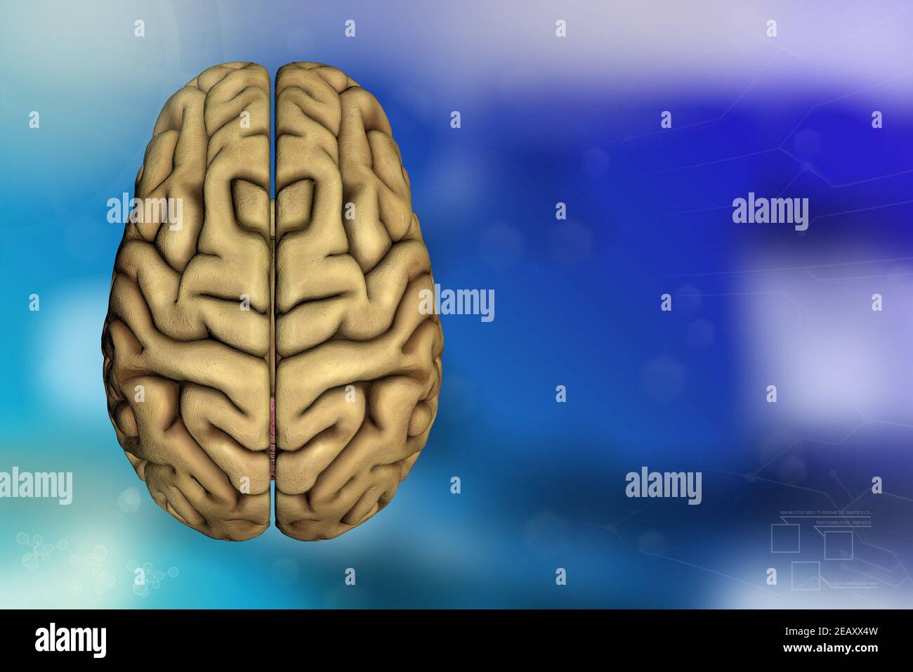Human brain, alzheimer research concept - very detailed hi-tech texture or background, medical 3D illustration Stock Photo - Alamy Human brain, alzheimer research concept - very detailed hi-tech texture or background, medical 3D illustration Stock Photo - Alamy