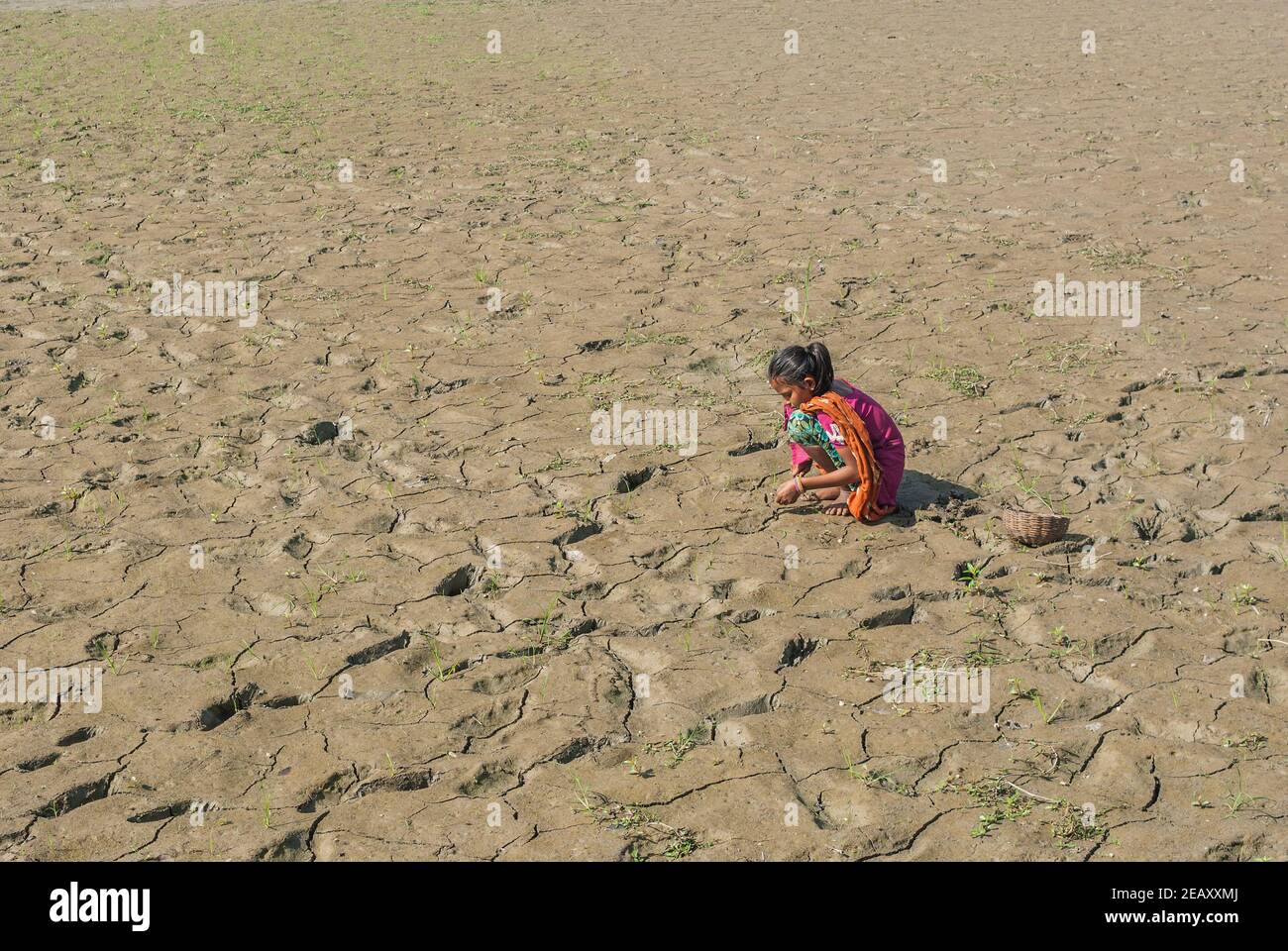 Village Girl at Khulna,Bangladesh. Stock Photo