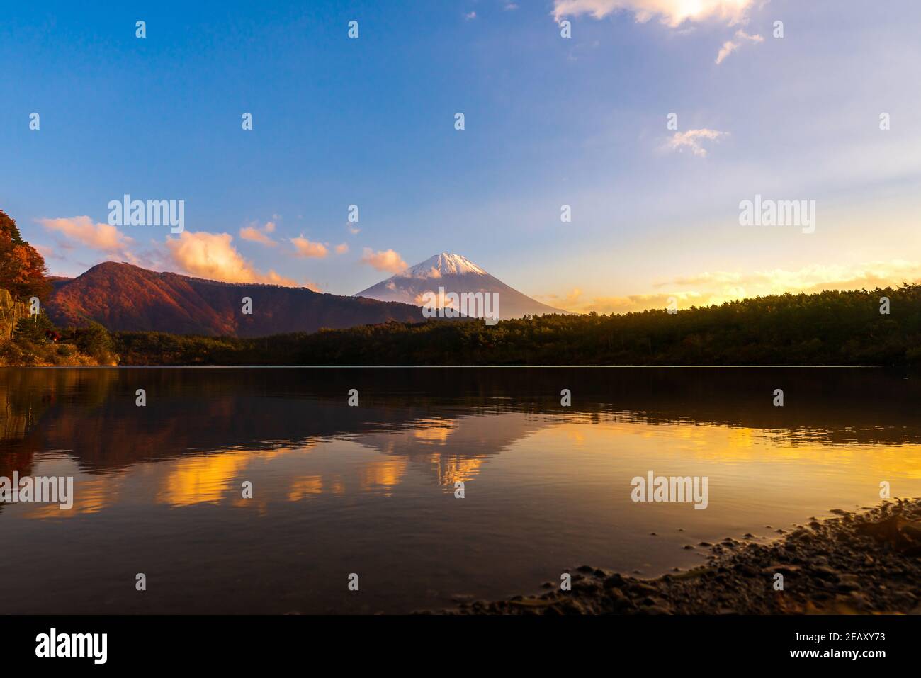 Beautiful twilight scenery of lake Saiko and mountain Fuji during autumn in Japan Stock Photo