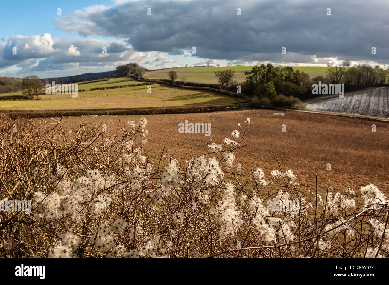 Nature of Chiltern Hills in winter with a view on pathways among fields, England Stock Photo