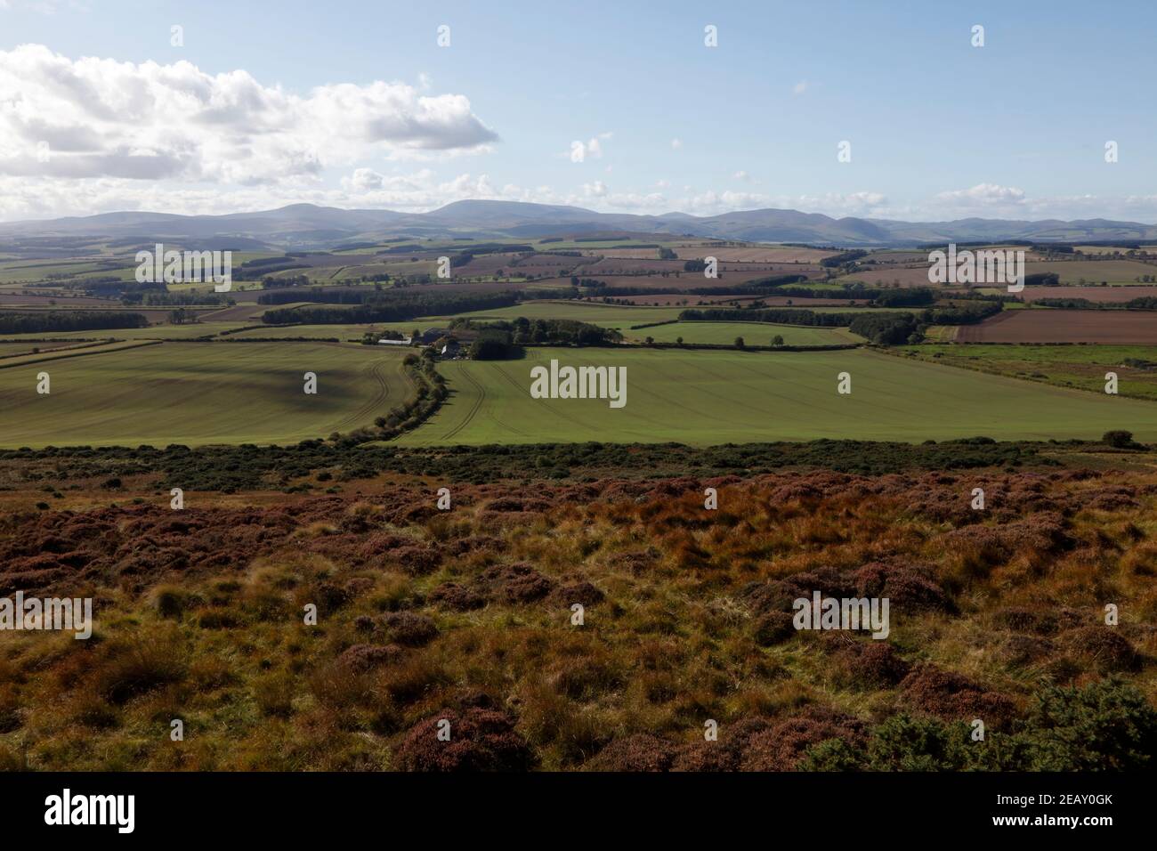 View across farmland to the Cheviot Hills from the Greensheen Hill, Northumberland, England, UK Stock Photo