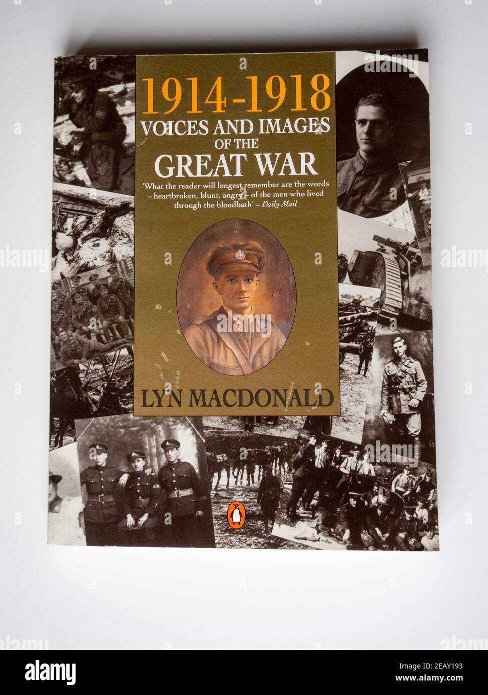 Stock photo of the book 1914-1918 Voices And Images Of The Great War, by the author and historian Lyn Macdonald; Penguin Books, 1991 Stock Photo