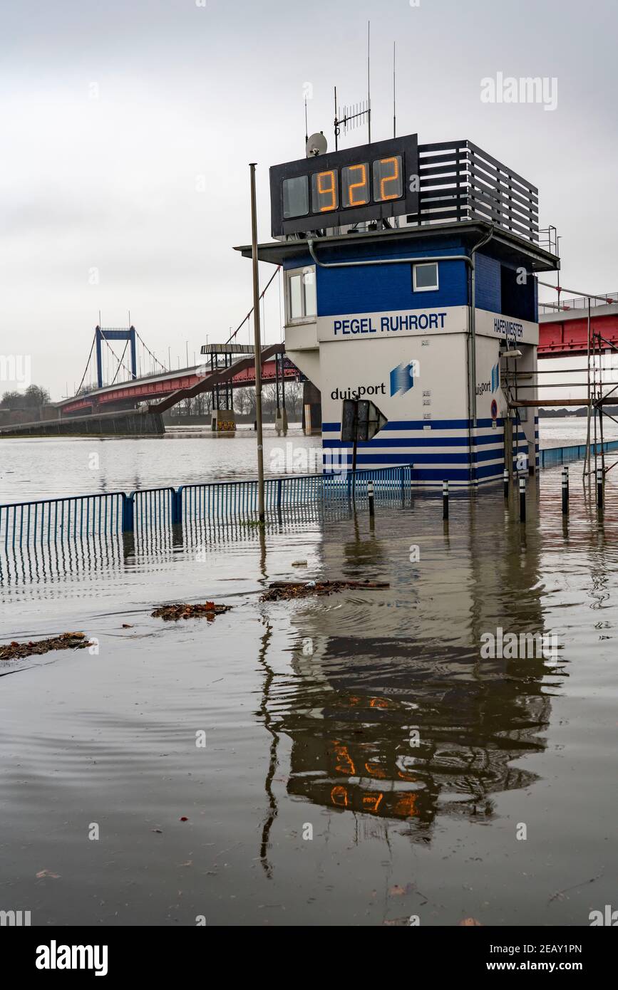 Flooding of the Rhine, Ruhrort water level, Duisburg-Ruhrort inland port, flooding, Friedrich Ebert Bridge, Duisburg, NRW, Germany Stock Photo