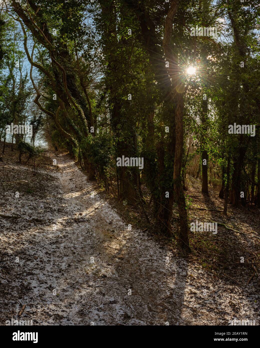 Pathway covered with snow in Chiltern Hills in winter near Chesham, England Stock Photo