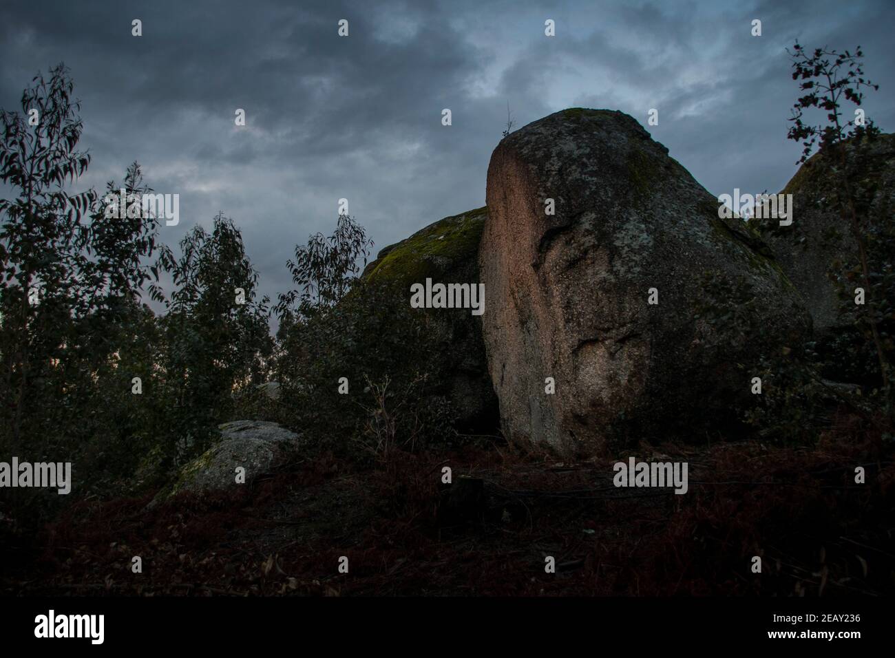 Place with a lot of big stones covered in moss in a stormy environment and grey day at sunset Stock Photo