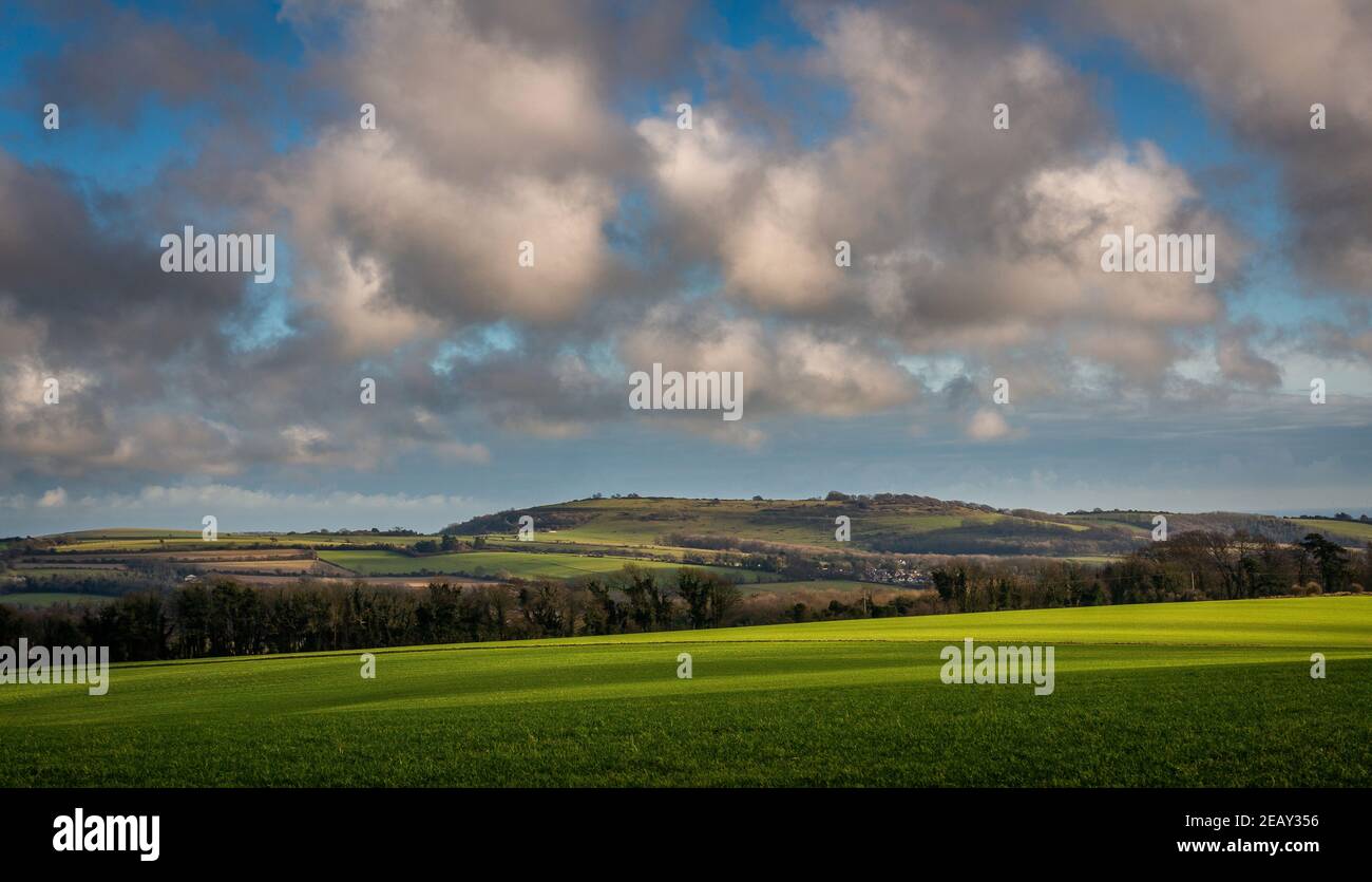 Cissbury Rings Iron Age hill fort viewed from Long Furlong, West Sussex, UK Stock Photo