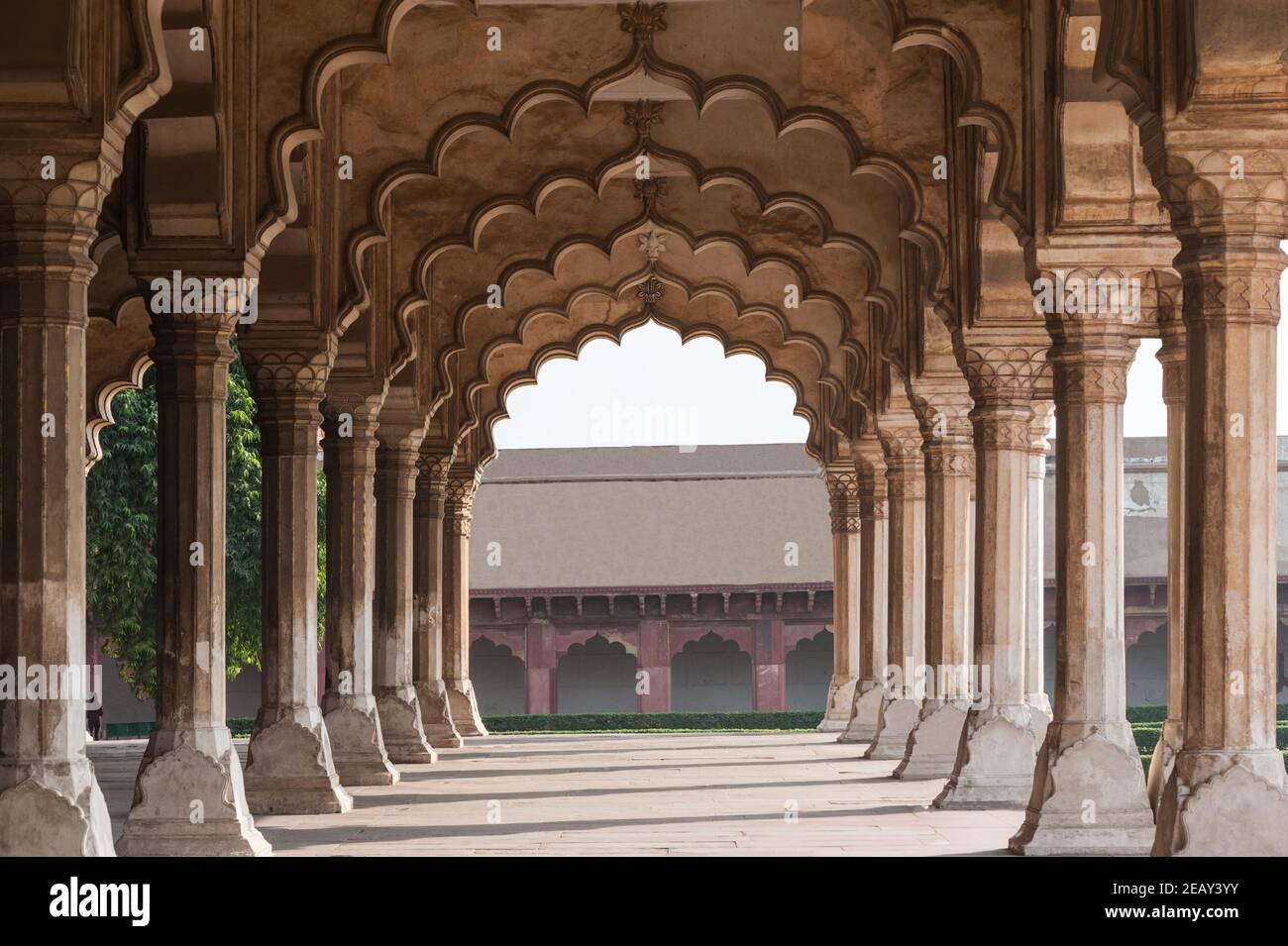 Agra Fort royal palace interior architecture with intricate wall