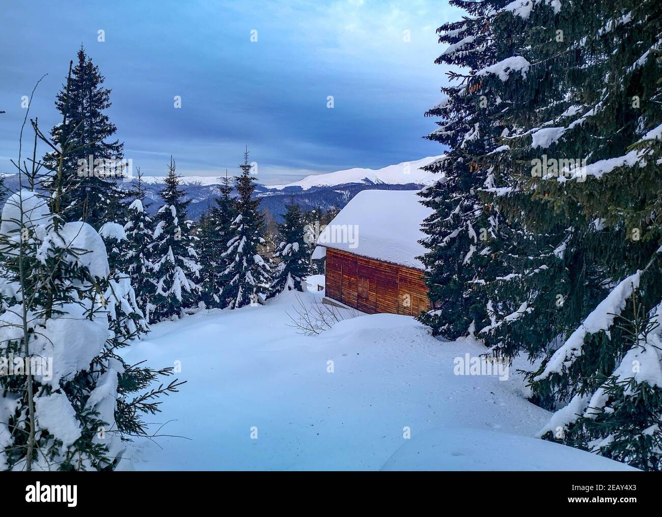 Small wooden lodge or cabana covered in snow, surrounded by icy evergreens overlooking the Carpathian Mountains, winter landscape in Ranca, Romania Stock Photo