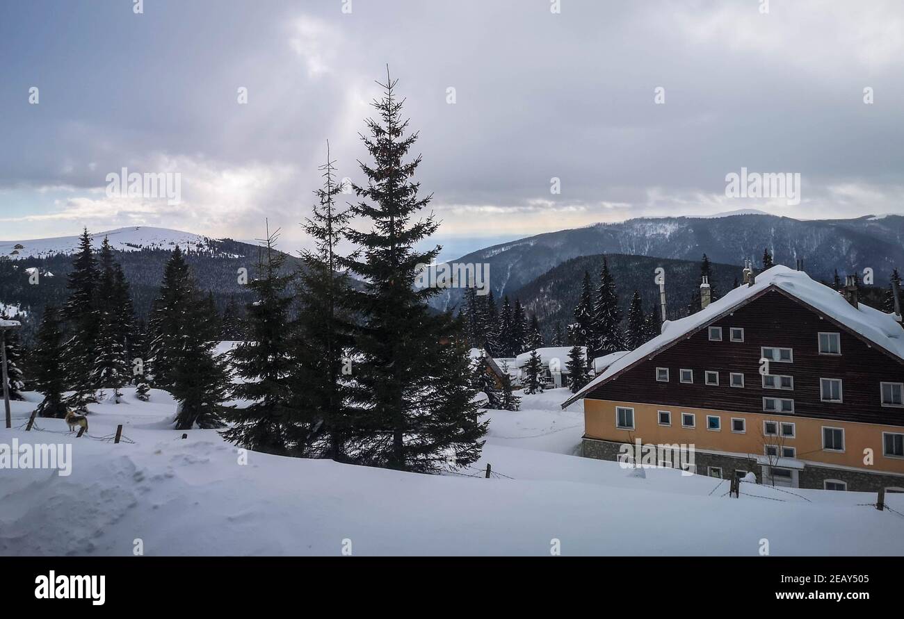 Winter view overlooking a lodge in the mountains surrounded by evergreens and snow on a cloudy day, in Ranca resort, Romania Stock Photo