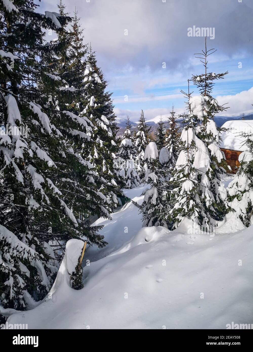 Winter view from a lodge in the mountains with evergreen trees covered in snow and cloudy skies, in Ranca, Romania Stock Photo