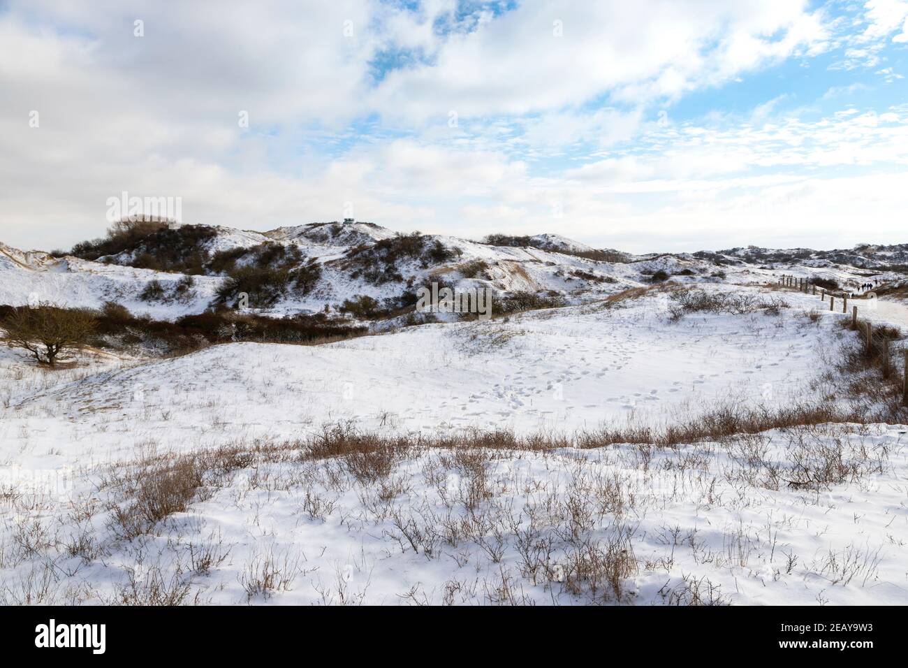 View towards the Observatory on Vlaggeduin in Berkheide, a nature reserve in wintry setting, Katwijk aan Zee, South Holland, The Netherlands. Stock Photo