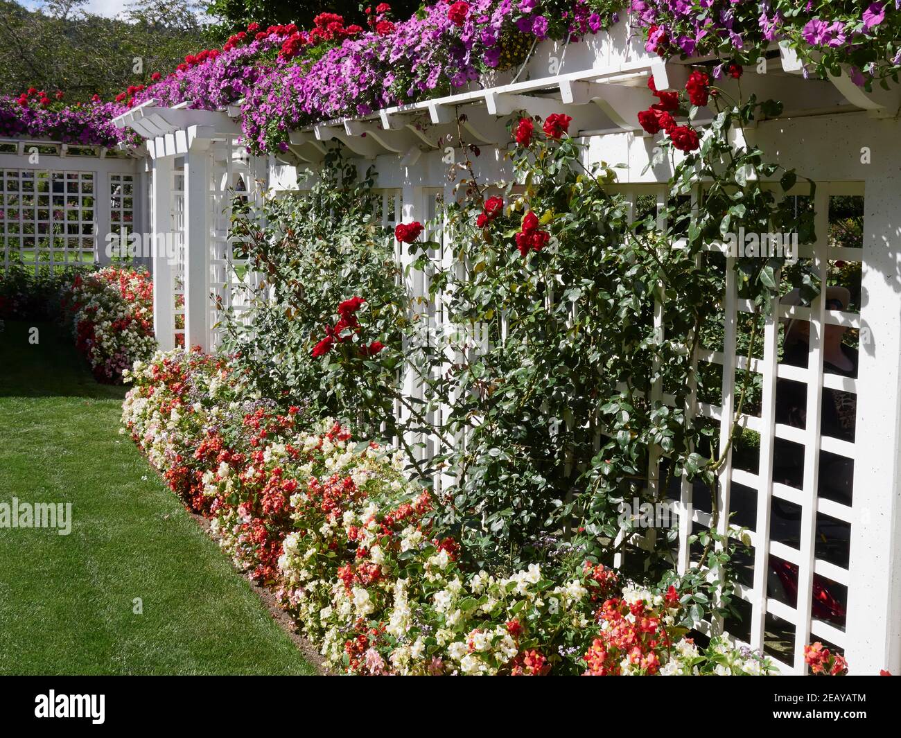 Butchart Gardens, the former Butchart residence. Petunias top the arbor surrounding the enclosed garden while roses climb the walls. Stock Photo