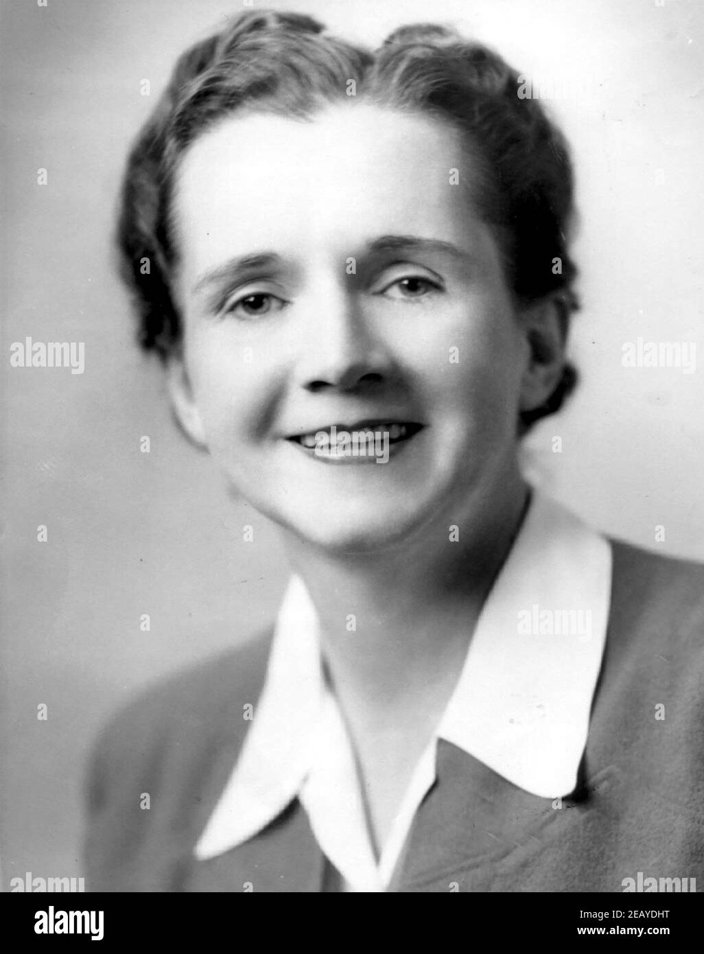 RACHEL CARSON (1907-1964) American marine biologist and author Silent Spring. Staff photo taken for the U.S. Fish and Wildlife Service in 1940 Stock Photo