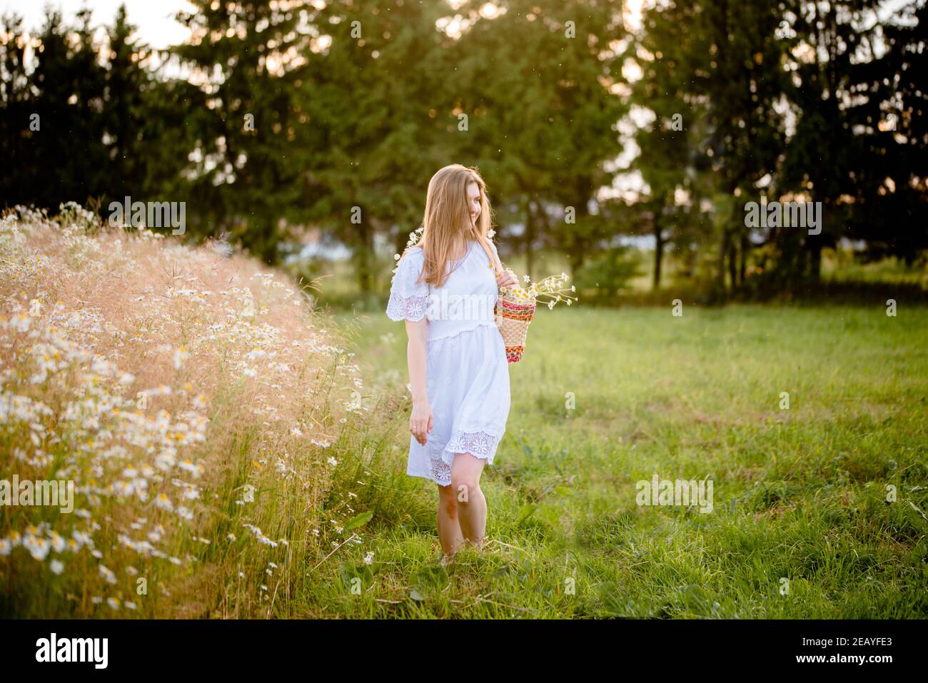 girl in a field in the setting sun with daisies Stock Photo - Alamy