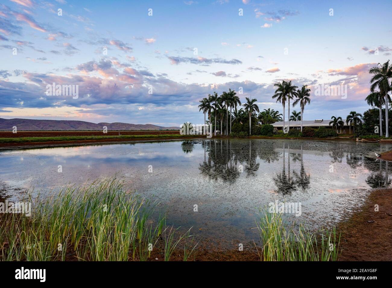 Morning on farm Stock Photo