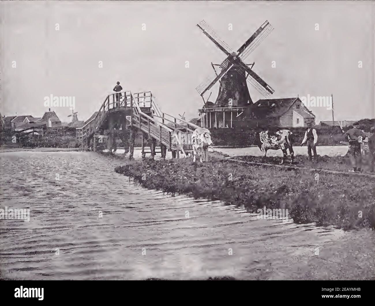 Early photograph of a Dutch Windmill Stock Photo