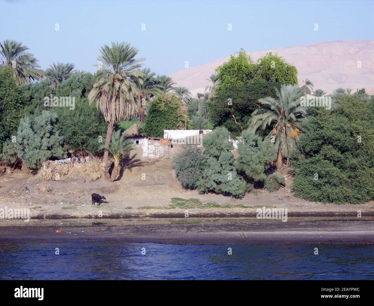 Egypte Paysage Des Rives Du Nil Au Fil De La Croisi re Stock Photo Alamy egypte-paysage-des-rives-du-nil-au-fil-de-la-croisi-re-stock-photo-alamy