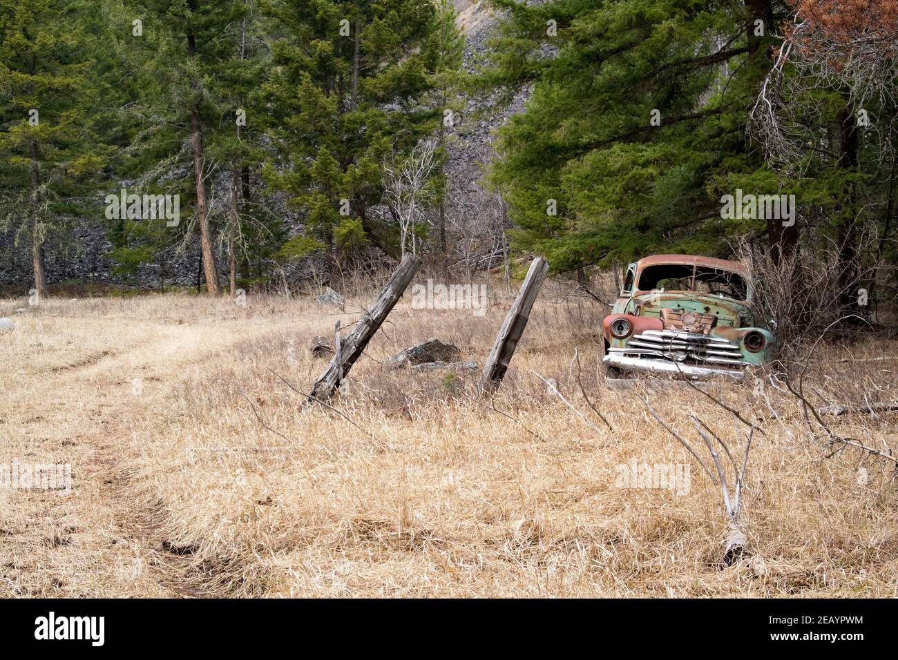 A 1946 Chevrolet 2-door coupe, up in a remote valley along Ranch Creek, in Granite County, Montana Stock Photo