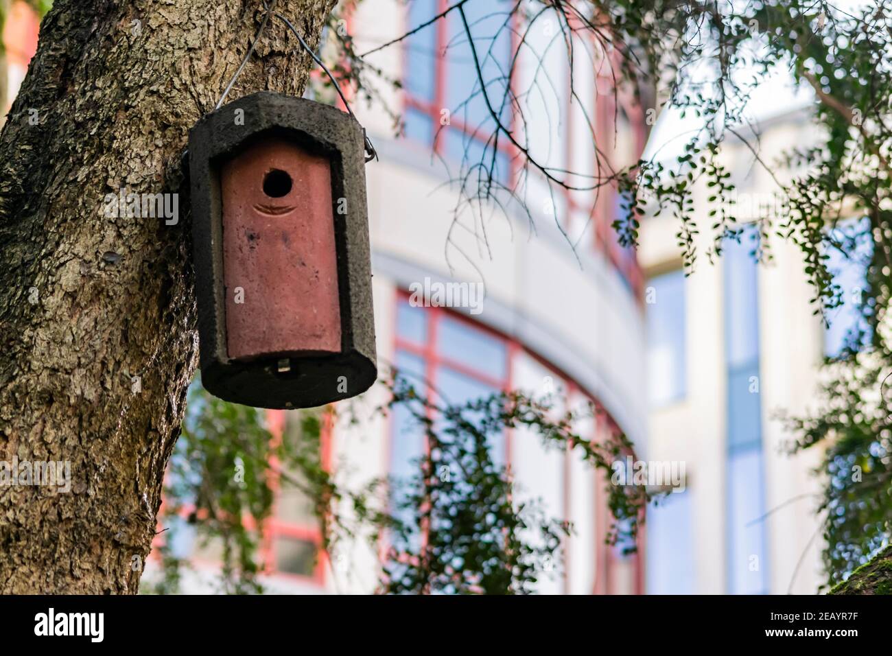 Handmade birdhouse hanging on a tree in brown and red colors, cylindrical shape or bird house with tiny hole for entrance in the middle, blurred Stock Photo