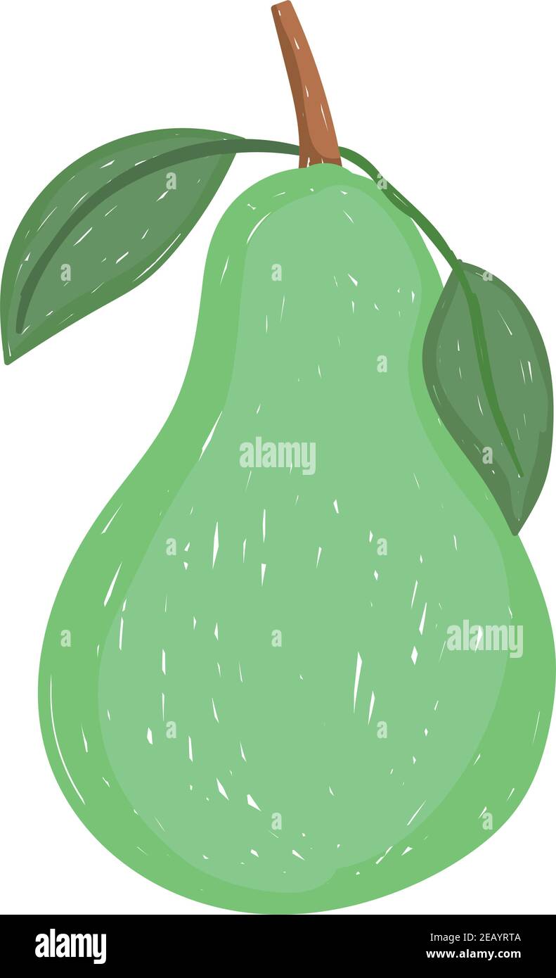 healthy food fresh pear fruit flat icon style vector illustration Stock ...