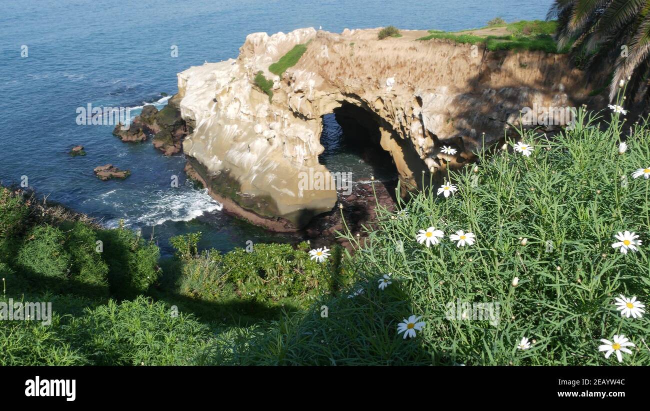 From above sea cave in La Jolla Cove. Lush foliage and sandstone grotto. Rock in pacific ocean lagoon, waves near steep cliff. Popular tourist landmar Stock Photo
