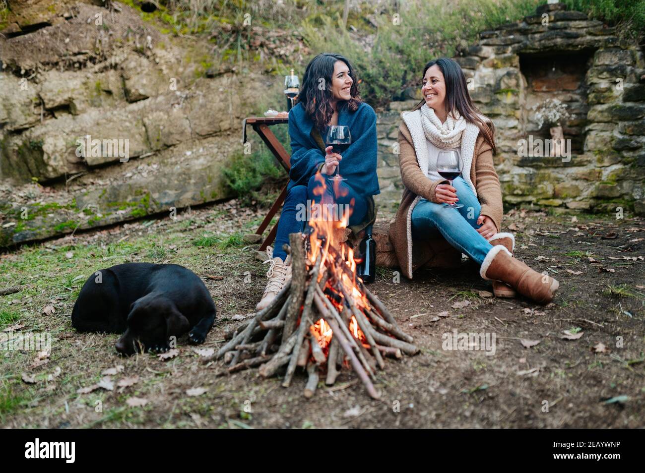 young happy women talking together while drinking glass of red wine. Females warming next to the fire with dog resting. Campfire, outdoors activities Stock Photo