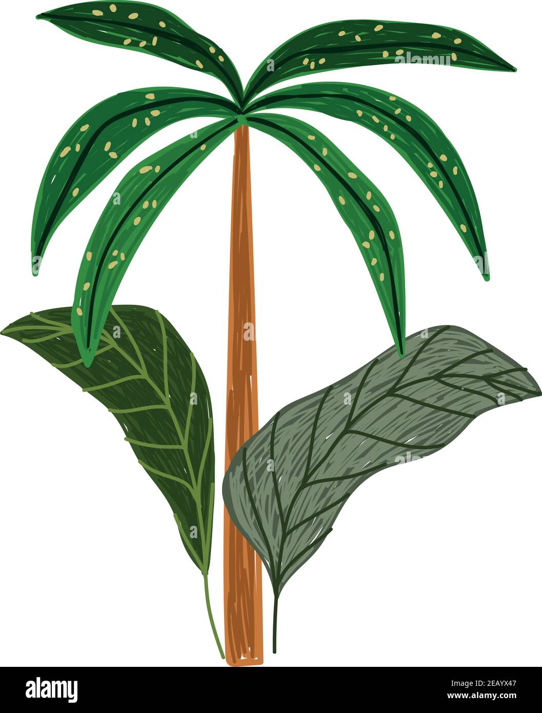 tropical exotic palm plant leaves nature vector illustration Stock ...