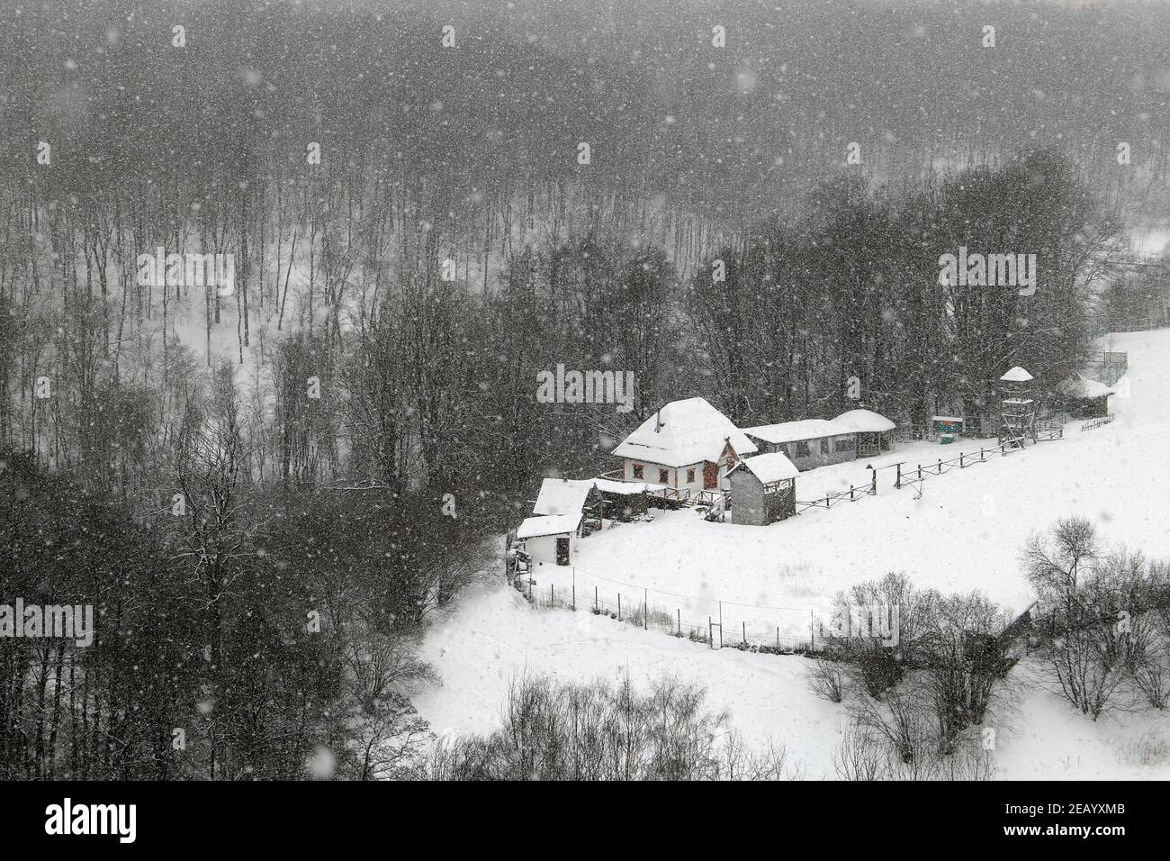 Farmhouse in the forest during a heavy snowstorm, rural scene. Background with snowflakes for winter weather Stock Photo