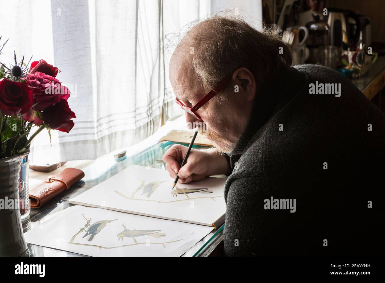 Mature artist at work drawing on paper, a wildlife study of birds. Stock Photo