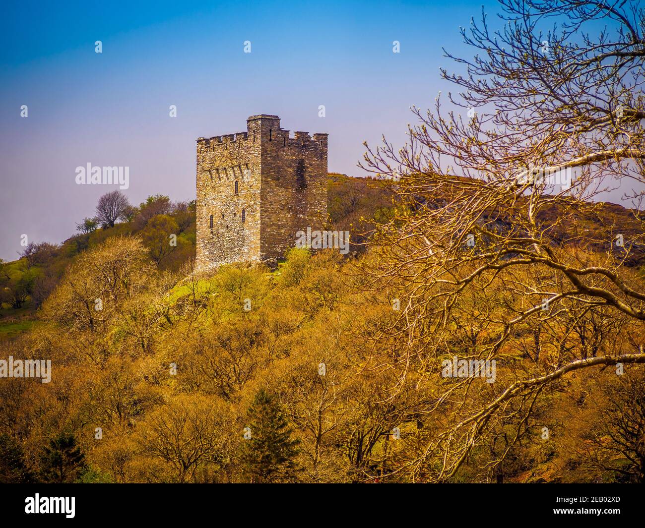 Dolwyddelan Castle stands in a commanding position on a hillside in Snowdonia in North Wales Stock Photo