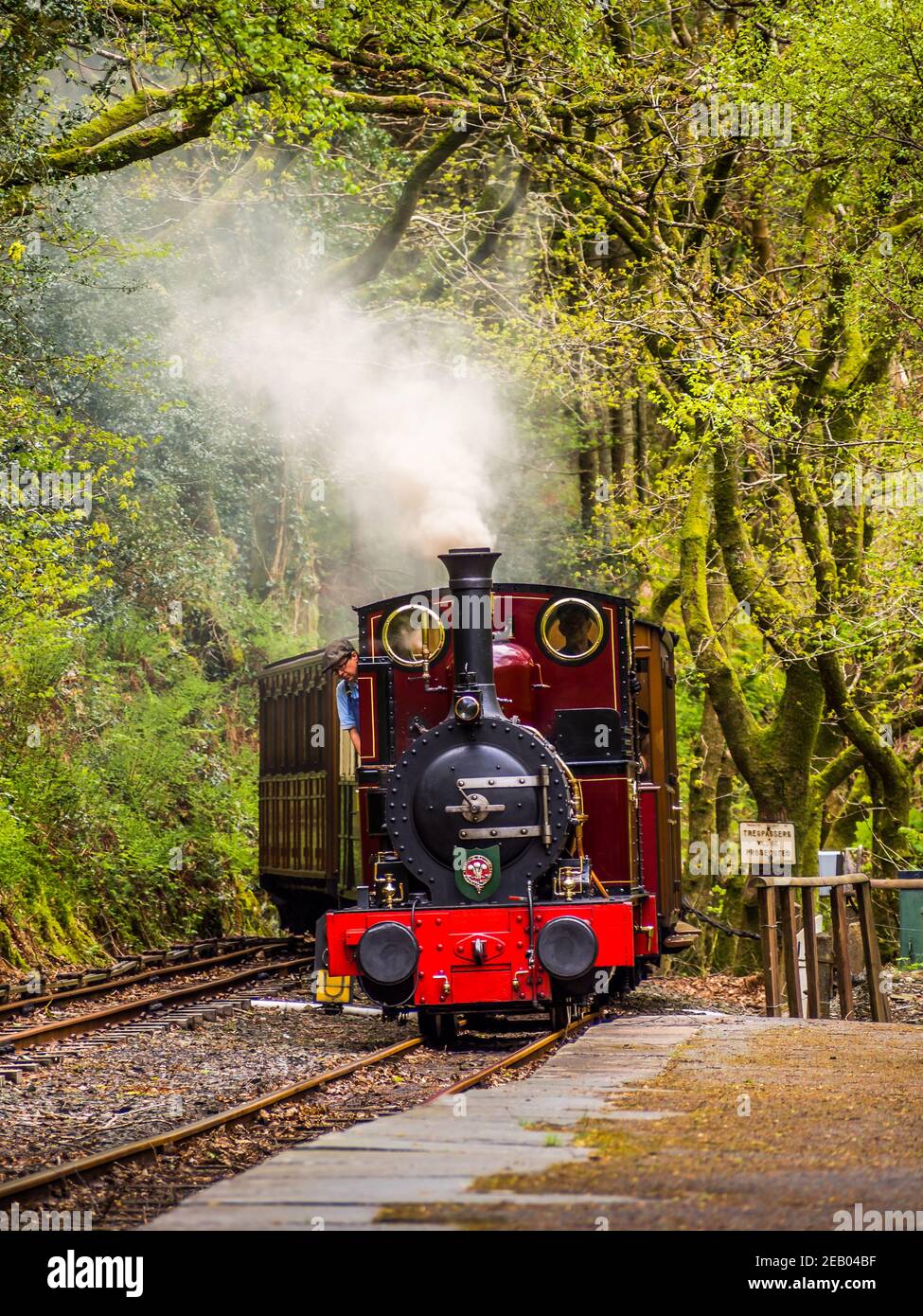 Steam locomotive no 2 Dolgoch on the Talyllyn railway arriving at ...