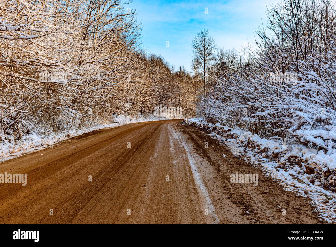 A dirt road running through a winter forest in the mountains Stock ...
